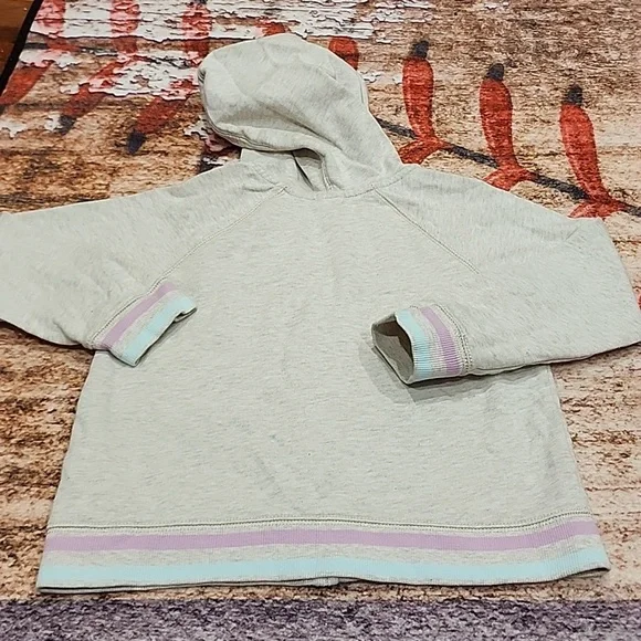 Toddler girl Gap sweatshirt - Picture 6 of 6